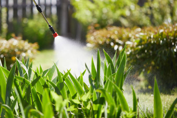 24/7 Emergency Wasp Removal experts in Seville, FL