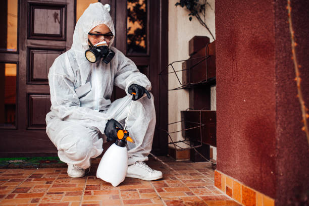 Reliable Wasp Removal contractor in Seville, FL by Show Me Pest Control