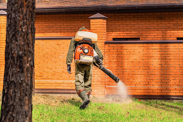 Top rated local Wasp Removal specialists in Seville, FL